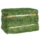 alfalfa-hay alfalfa-hay